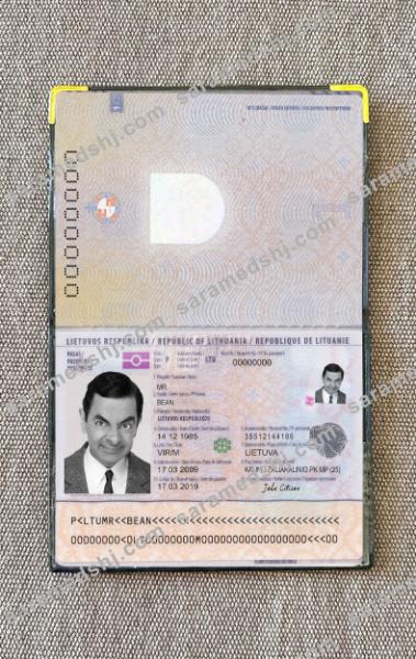 Lithuania passport photo look